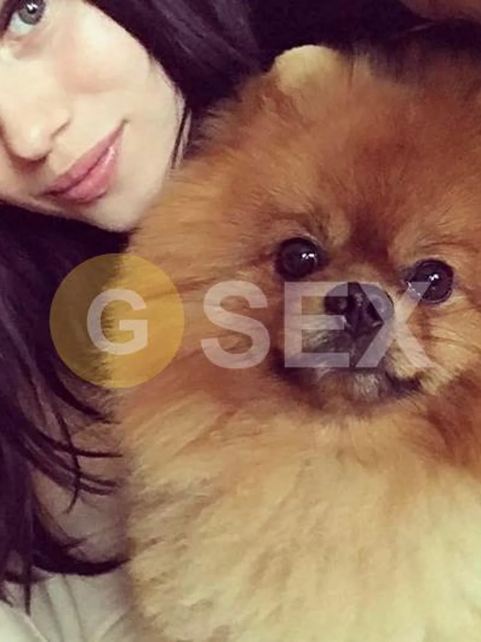 Индивидуалка Эмма, Луцк, ID1809, фото 2